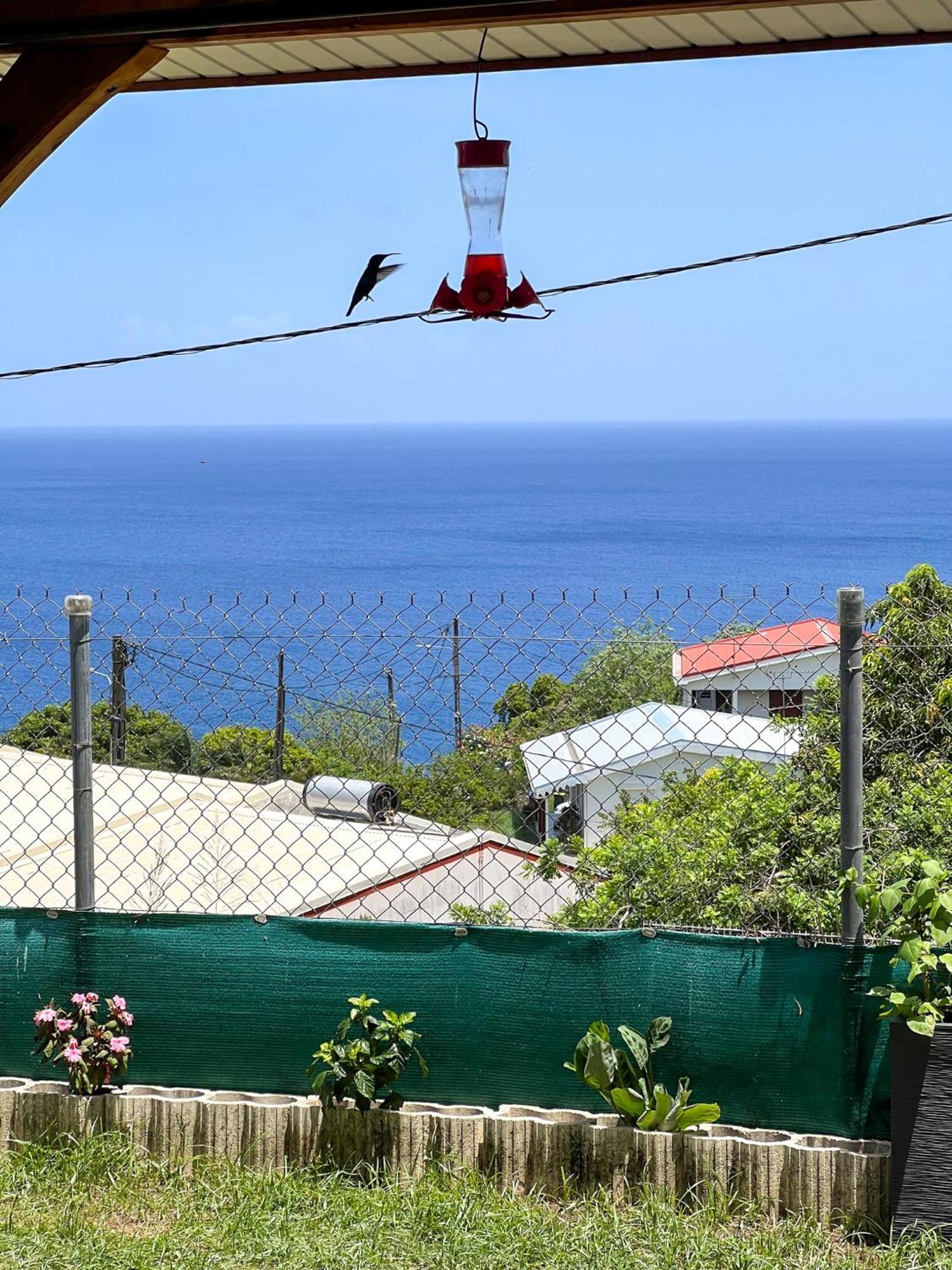 Casa Francois Le Carbet Exterior foto